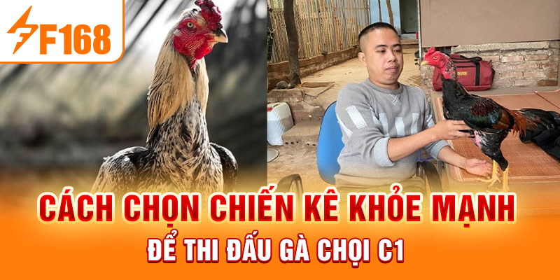 Gà Chọi C1 - Trò Chơi Cá Cược Hấp Dẫn Nhất Mọi Thời Đại
