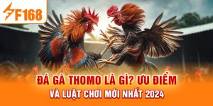 Đá Gà F168 - Khám Phá Sân Chơi Đẳng Cấp Dành Cho Kê Thủ