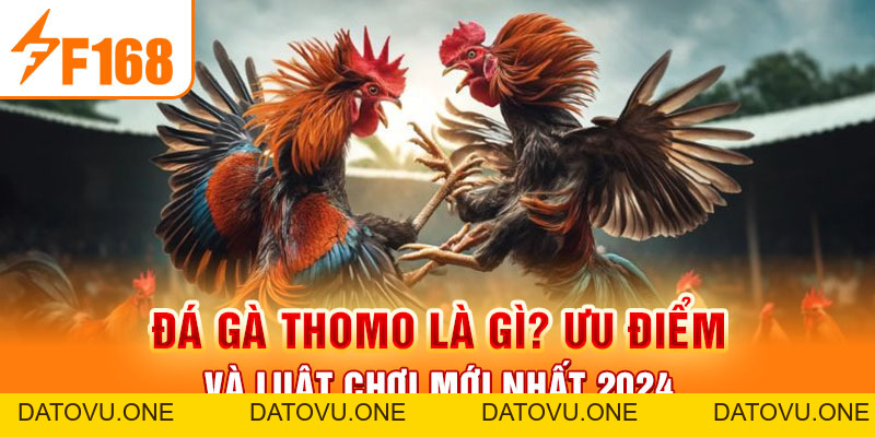 Đá Gà Thomo Là Gì? Ưu Điểm Và Luật Chơi Mới Nhất 2026