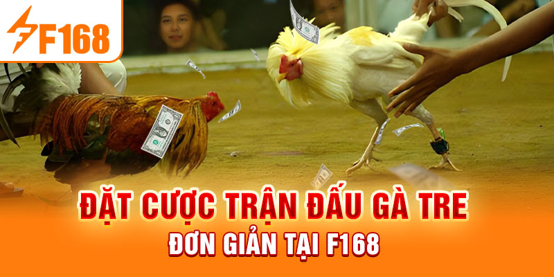 Đá Gà Tre F168 - Thiên Đường Cá Cược Hấp Dẫn, Kịch Tính