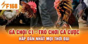 Đá Gà F168 - Khám Phá Sân Chơi Đẳng Cấp Dành Cho Kê Thủ