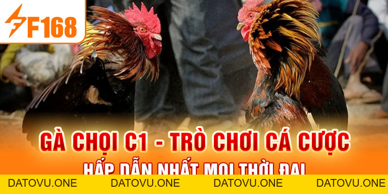 Gà Chọi C1 - Trò Chơi Cá Cược Hấp Dẫn Nhất Mọi Thời Đại