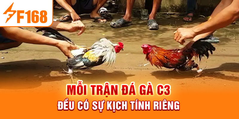 Đá Gà C3 - Sức Hấp Dẫn Của Môn Thể Thao Đỉnh Cao Hiện Nay