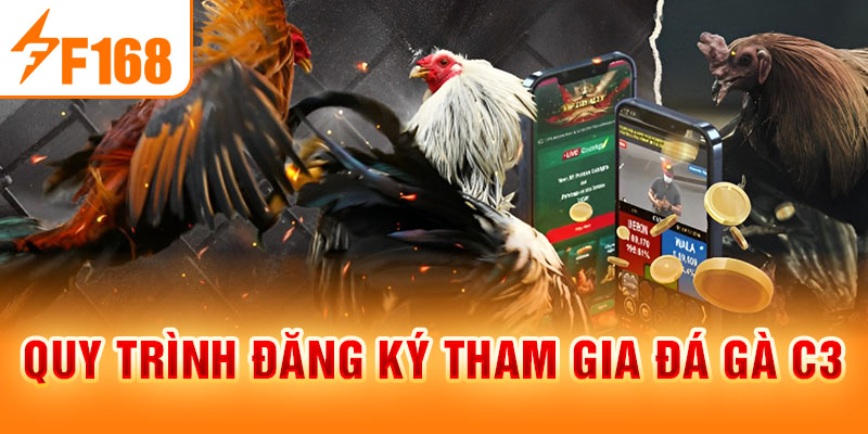 Đá Gà C3 - Sức Hấp Dẫn Của Môn Thể Thao Đỉnh Cao Hiện Nay