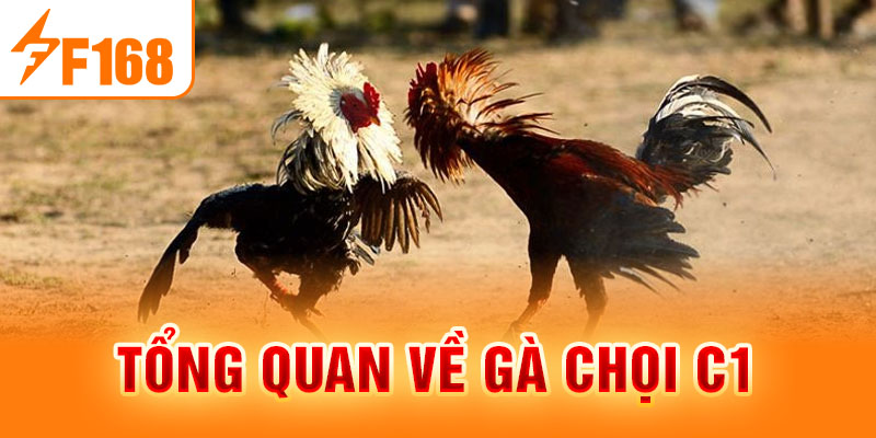 Gà Chọi C1 - Trò Chơi Cá Cược Hấp Dẫn Nhất Mọi Thời Đại