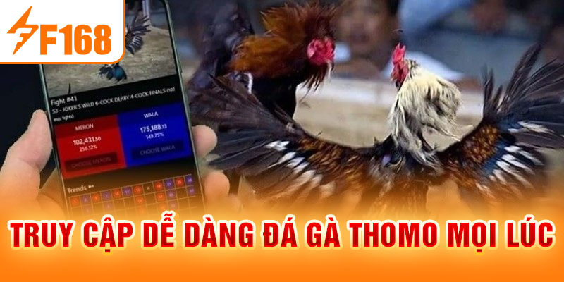 Đá Gà Thomo Là Gì? Ưu Điểm Và Luật Chơi Mới Nhất 2026