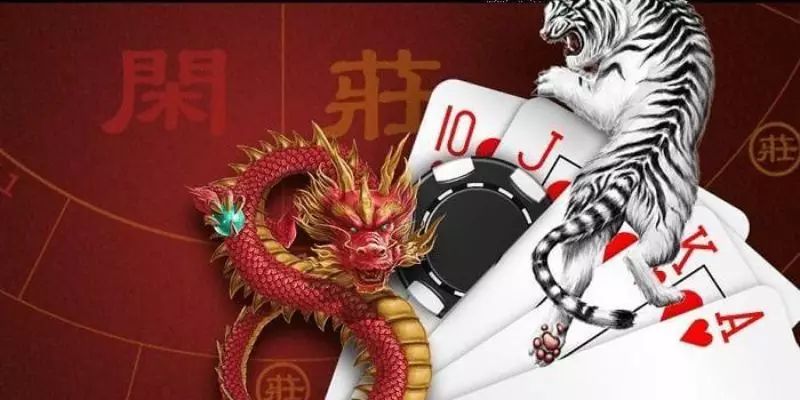 Cách Chơi Rồng Hổ Chuẩn - Bỏ Túi Và Học Cách Đánh Chuẩn Cách Chơi Rồng Hổ Chuẩn - Bỏ Túi Và Học Cách Đánh Chuẩn