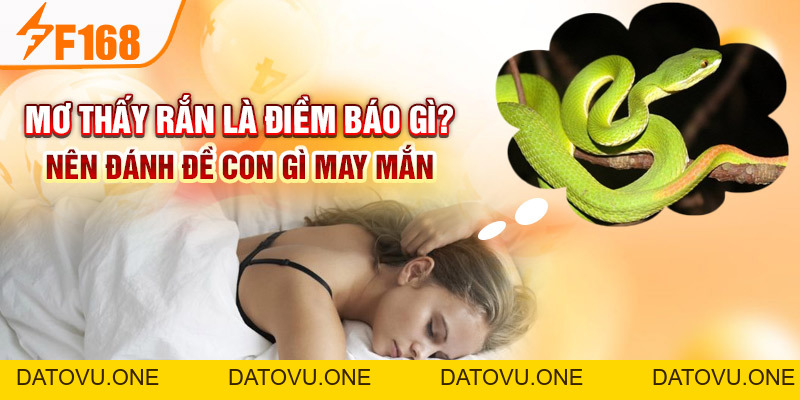 Mơ Thấy Rắn Là Điềm Báo Gì? Nên Đánh Đề Con Gì May Mắn F168