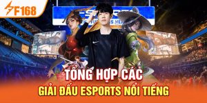 Tin Tức