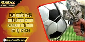 Thể thao XOSO66 – Thế giới cá cược trực tuyến số 1 hiện nay