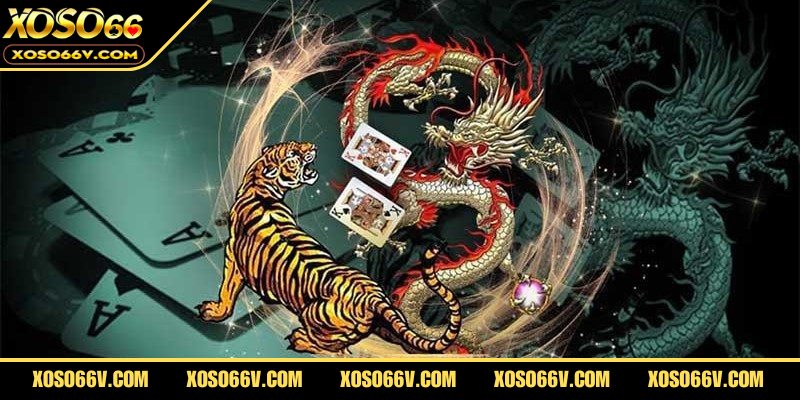 Quản lý vốn trong rồng hổ để kiểm soát rủi ro hiệu quả