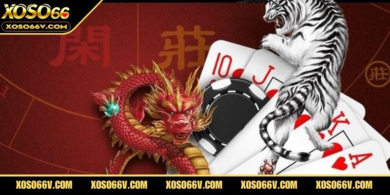 Quản lý vốn trong rồng hổ để kiểm soát rủi ro hiệu quả