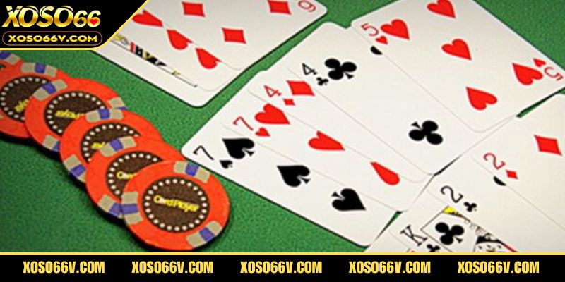Cách Chơi Bài Tấn Thành Thạo Trong 5 Phút – Bí Kíp Mới