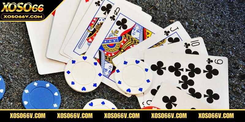 Cách Chơi Bài Tấn Thành Thạo Trong 5 Phút – Bí Kíp Mới