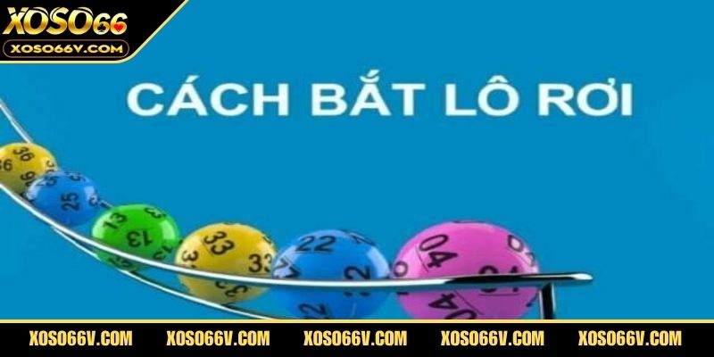 Lô Rơi Là Gì? Học Ngay Mẹo Soi Lô Cực Chuẩn Dành Cho Bạn