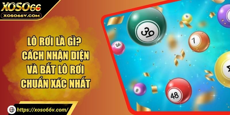 Lô Rơi Là Gì? Học Ngay Mẹo Soi Lô Cực Chuẩn Dành Cho Bạn