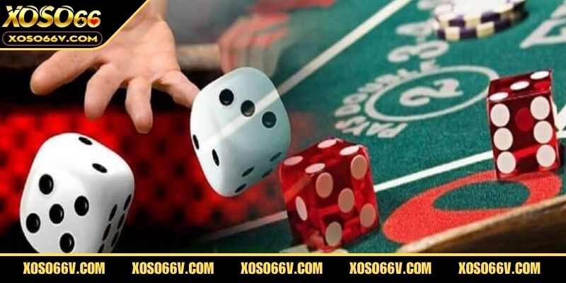 Luật Chơi Tài Xỉu Mới - Giải Mã Cách Đặt Cược Khôn Ngoan