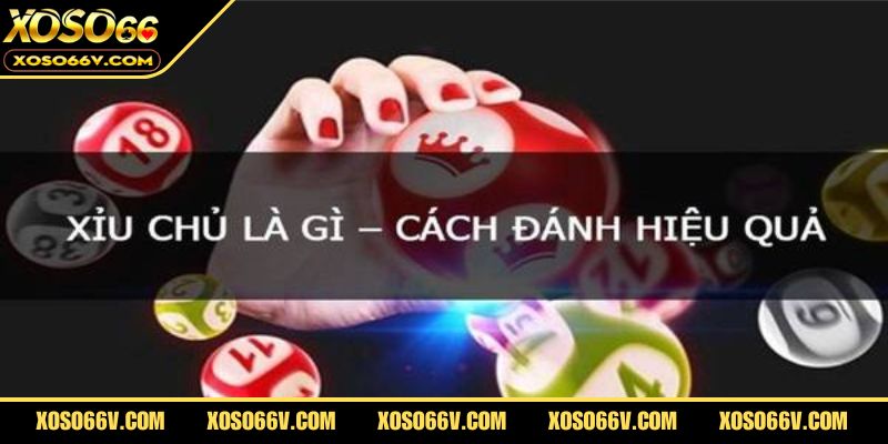 Xỉu Chủ Là Gì? Hé Lộ Cách Đánh Khiến Tỷ Lệ Trúng Tăng Vọt