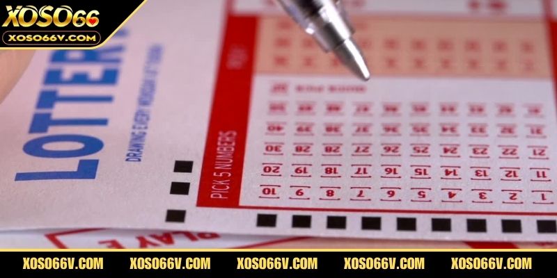 Xổ Số Ninh Thuận Tại XOSO66 - Những Điều Người Chơi Cần Biết
