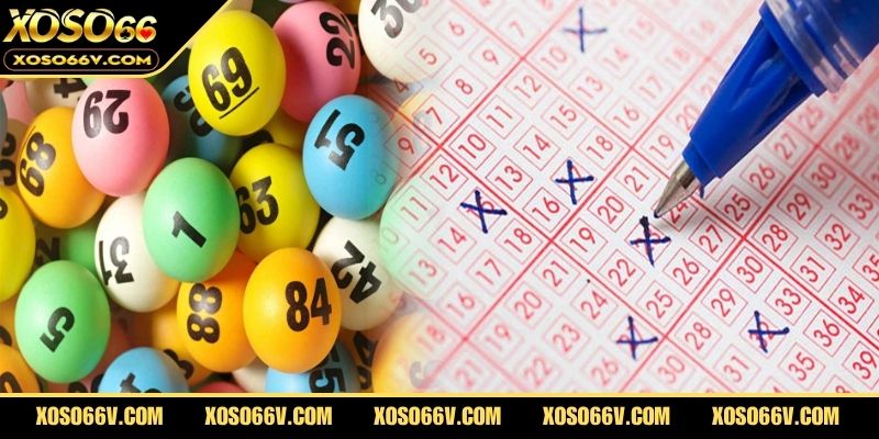 Xổ Số Thái Bình – Cập Nhật Kết Quả Nhanh Chóng Mỗi Ngày