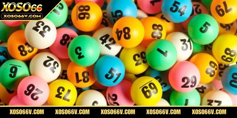 Xổ Số Thái Bình – Cập Nhật Kết Quả Nhanh Chóng Mỗi Ngày
