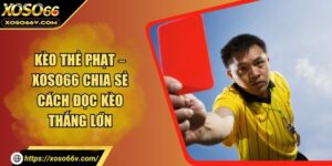 Thể thao XOSO66 – Thế giới cá cược trực tuyến số 1 hiện nay