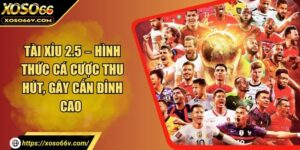 Thể thao XOSO66 – Thế giới cá cược trực tuyến số 1 hiện nay